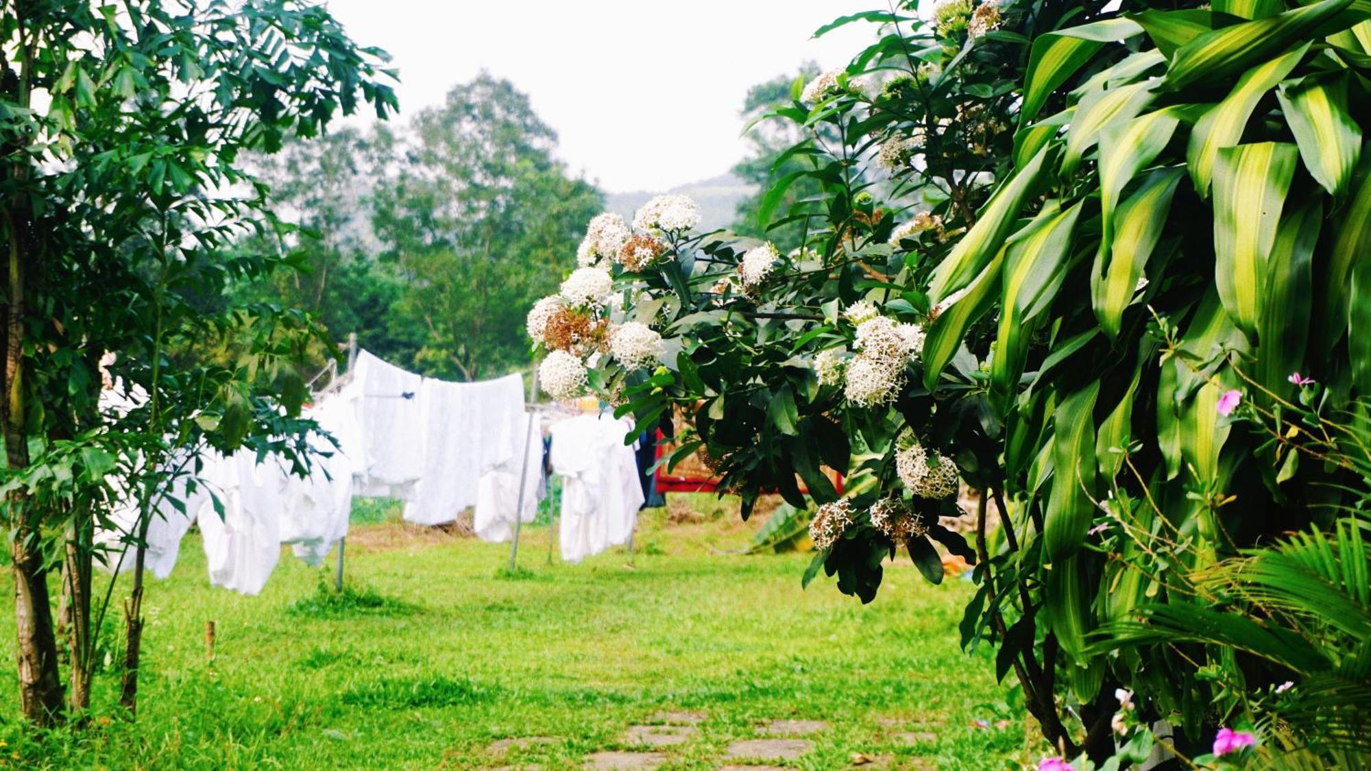 Phong Nha Eco Village ภายนอก รูปภาพ