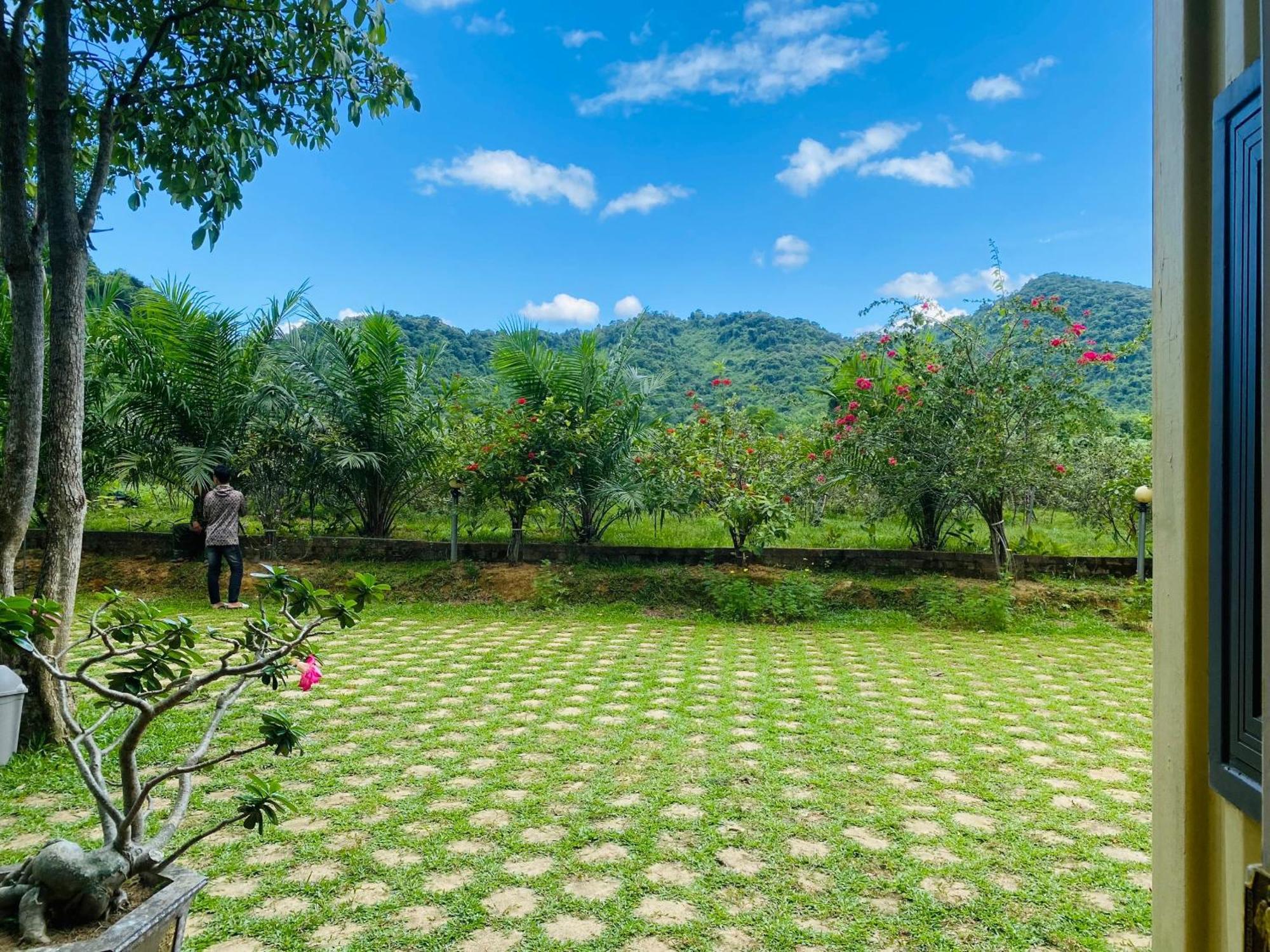 Phong Nha Eco Village ภายนอก รูปภาพ