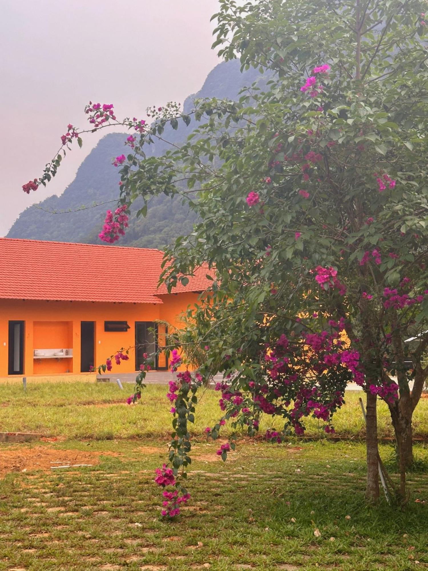 Phong Nha Eco Village ภายนอก รูปภาพ