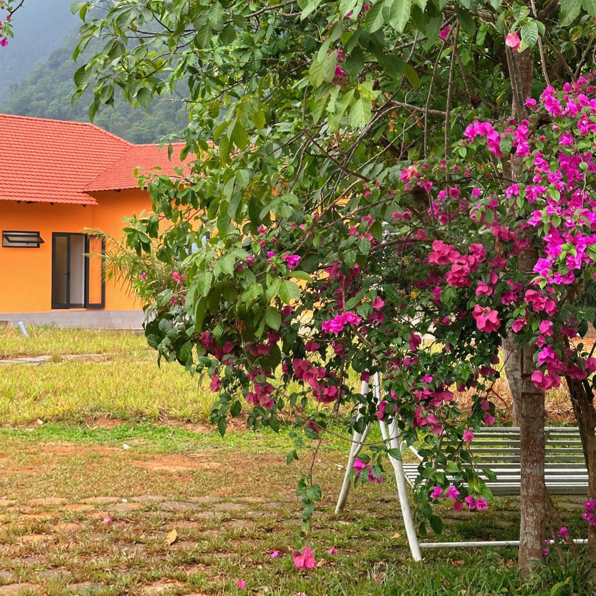 Phong Nha Eco Village ภายนอก รูปภาพ